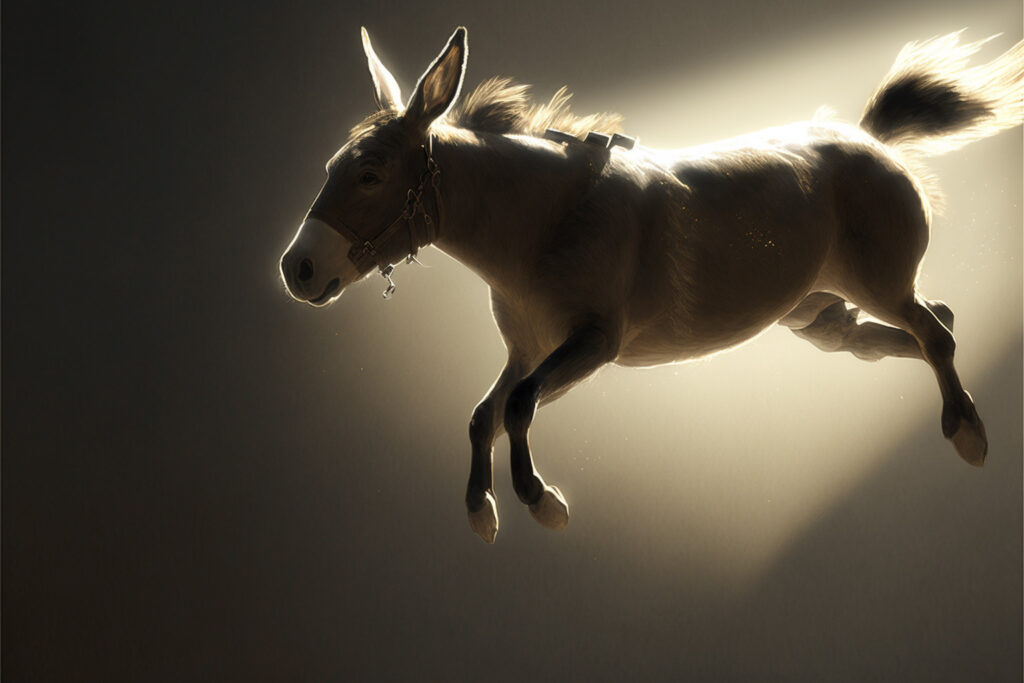 A flying donkey © Vadim Kosmowski